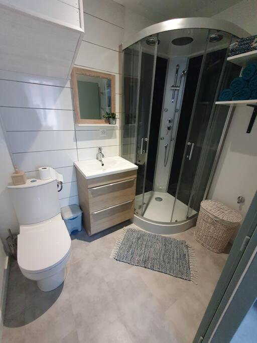 Roanne Centre, Appartement Refait A Neuf. מראה חיצוני תמונה