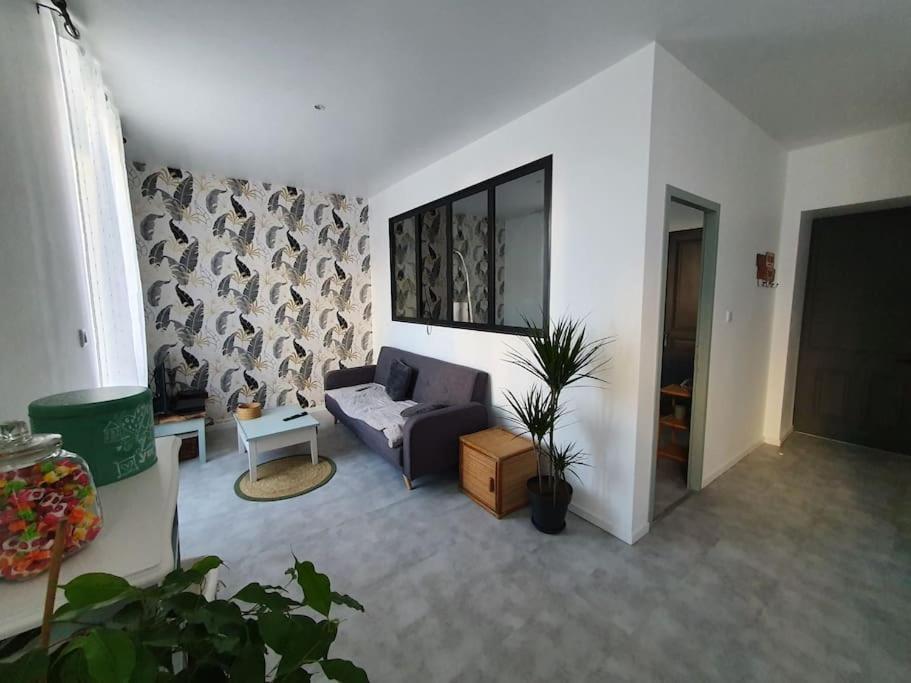 Roanne Centre, Appartement Refait A Neuf. מראה חיצוני תמונה
